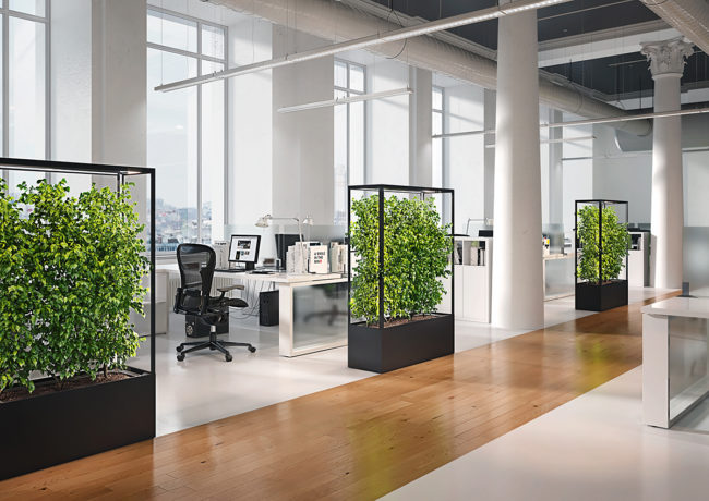 Lasfera Cube Planted Pflanzenleute als Raumteiler im Büro